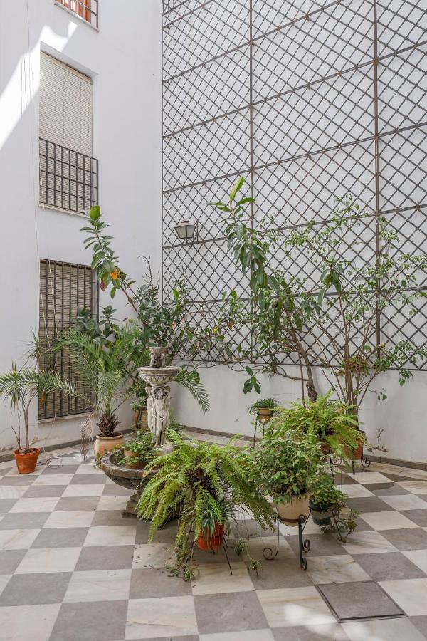 Fantastico Duplex 2 Terrazas 3 Habitaciones 2 Banos Seville Luaran gambar
